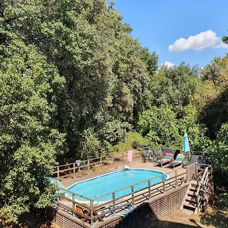 Eco-friendly With Pool